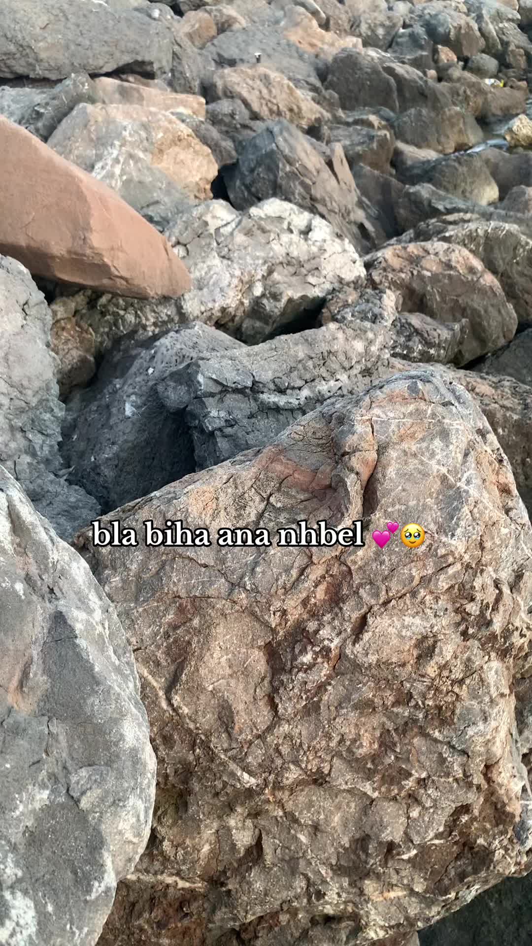 @+213 🖤🇩🇿