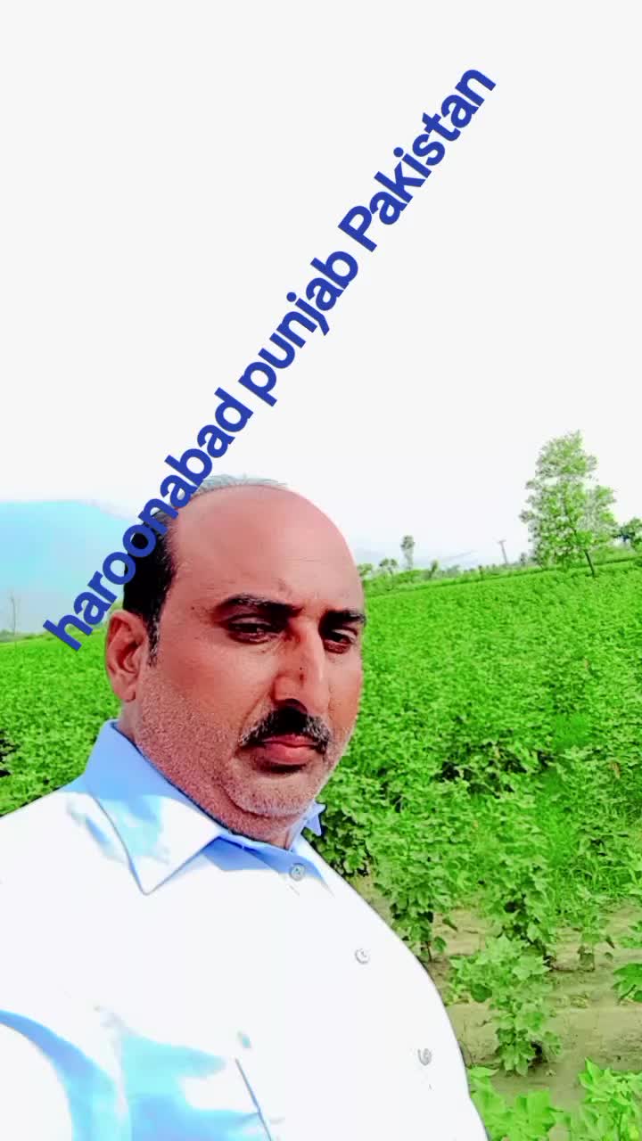 @ARAIN SHEHZADA 440