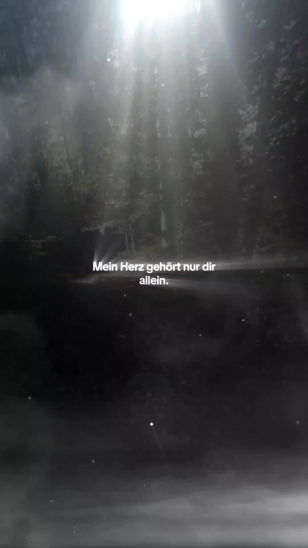 @🐺 Zieh mit den Wölfen 🐺