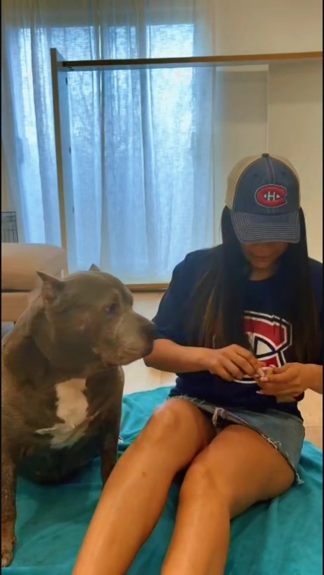 @siempreluna