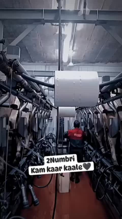 @Yuvraj,Navraj