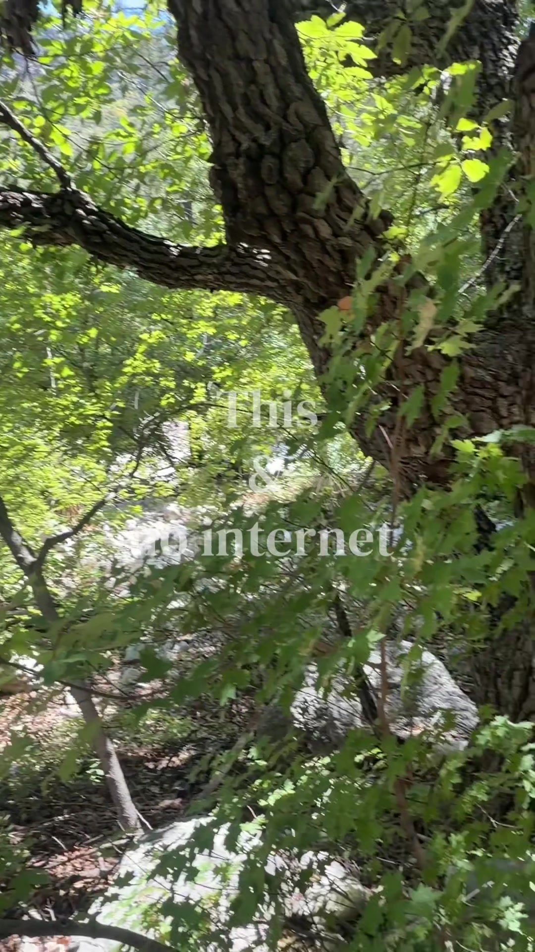 @em 🌸