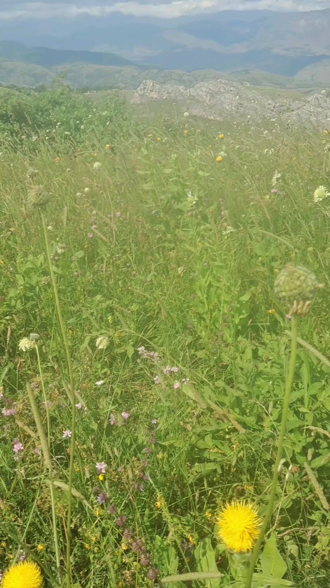 @Niyameddin La&ccedil;ınlı041
