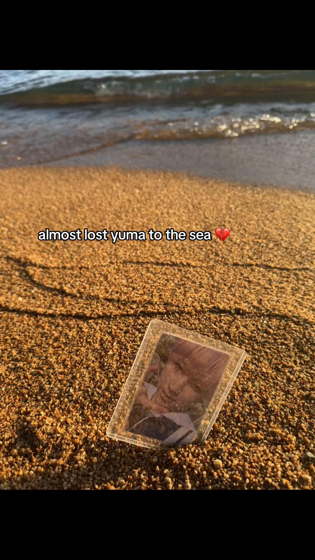 @₍^. .^₎⟆