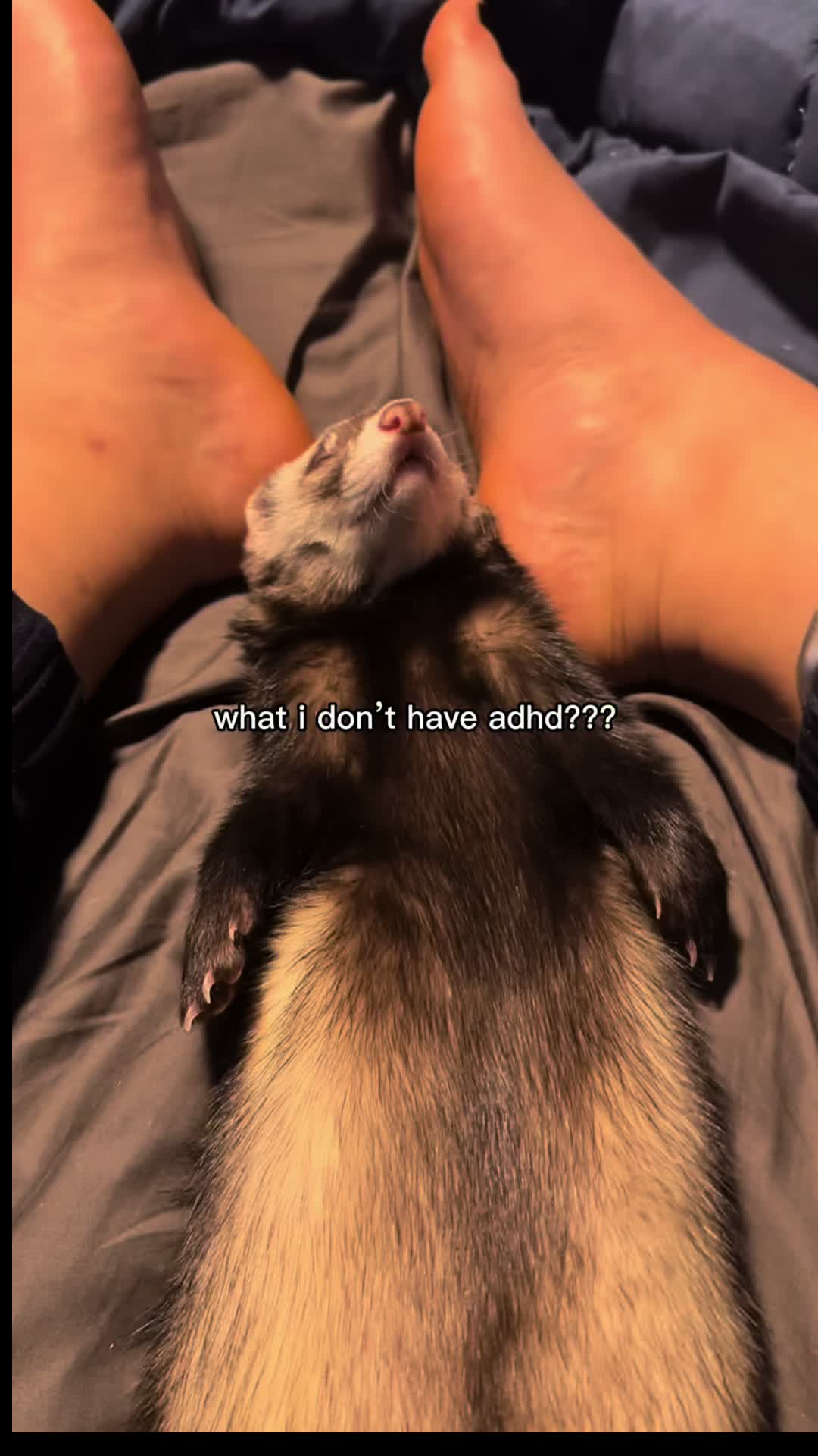 @XRabbyxx