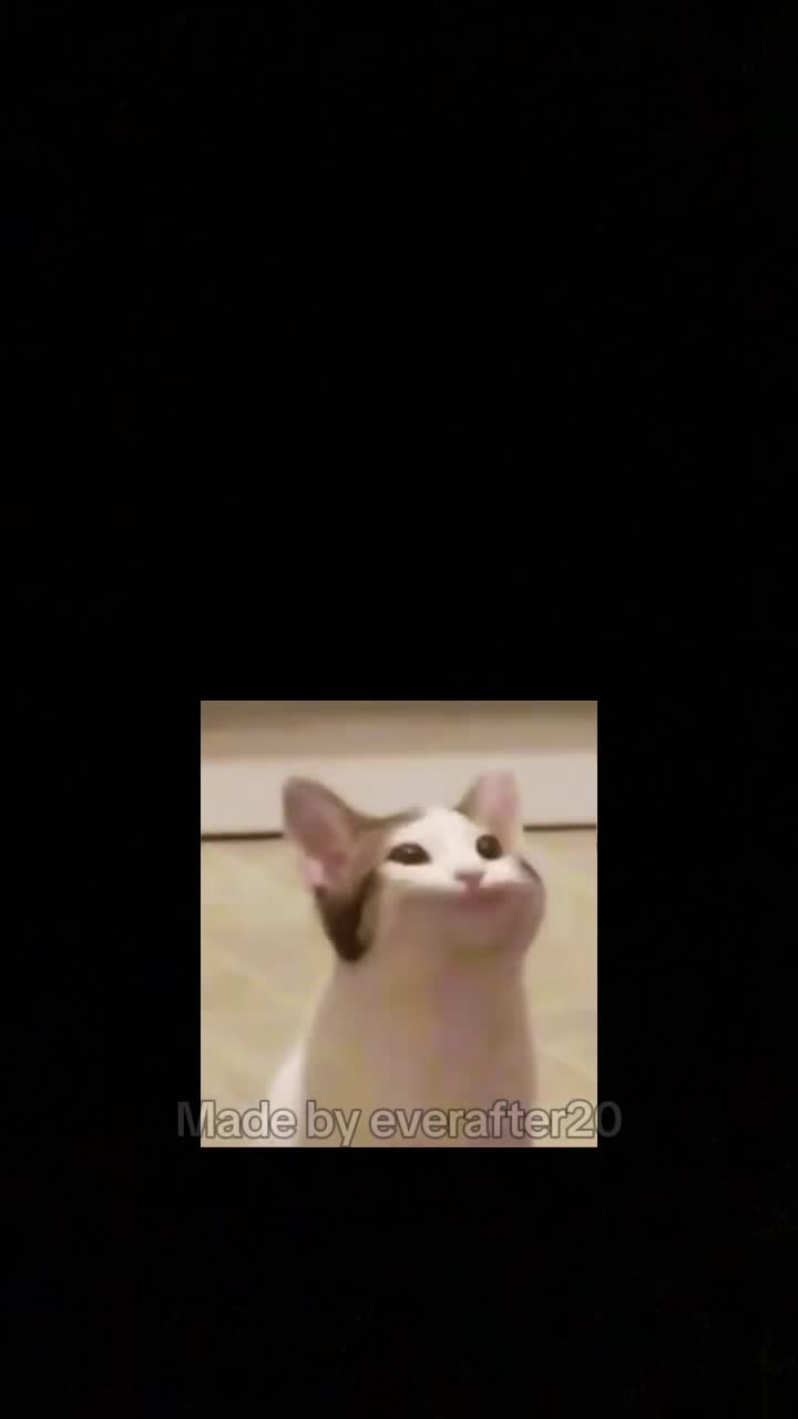 @Susie