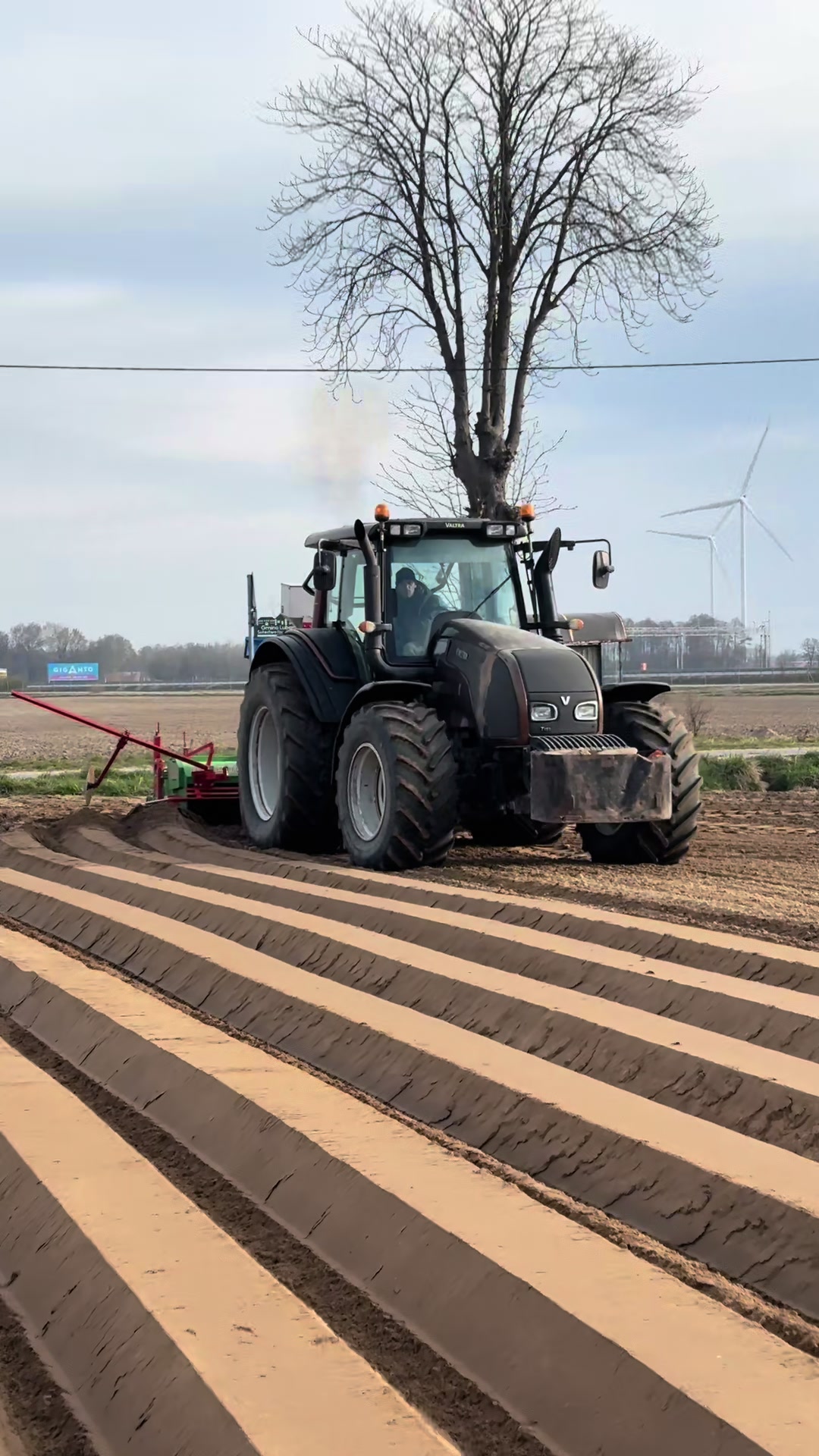 @Ćwikła agro