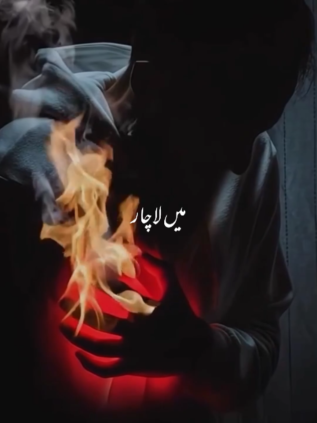 @Islamic State