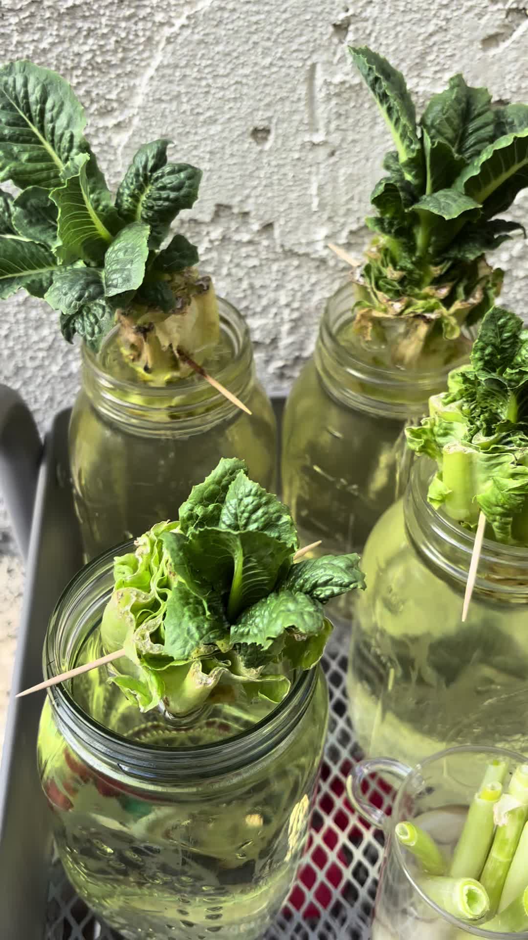 @NutritionalTherapy