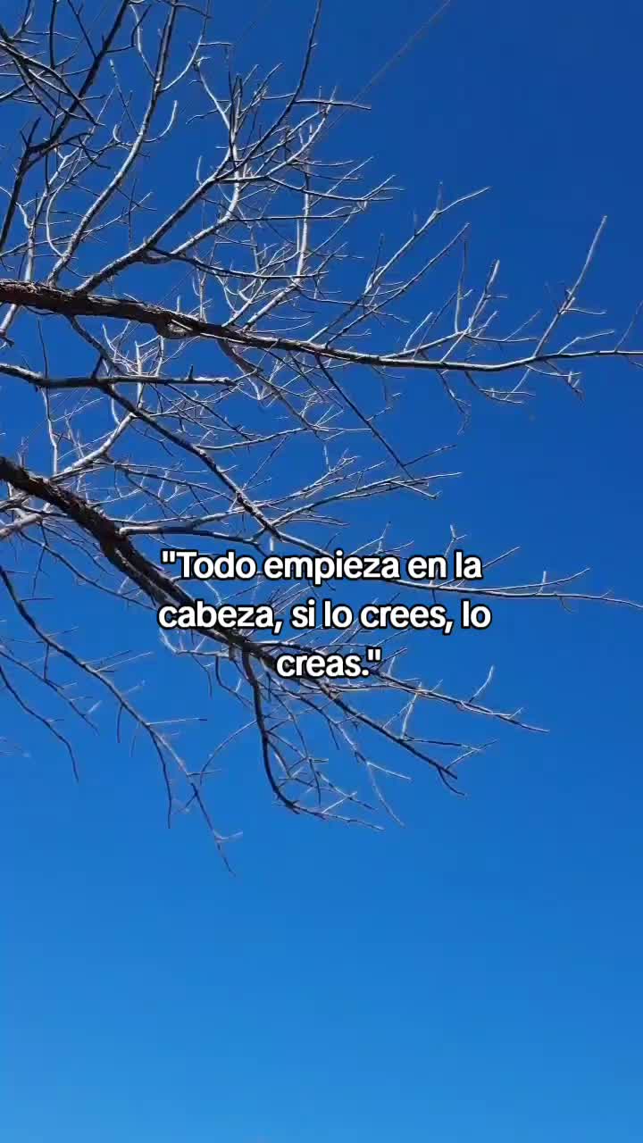 @Stev3x_