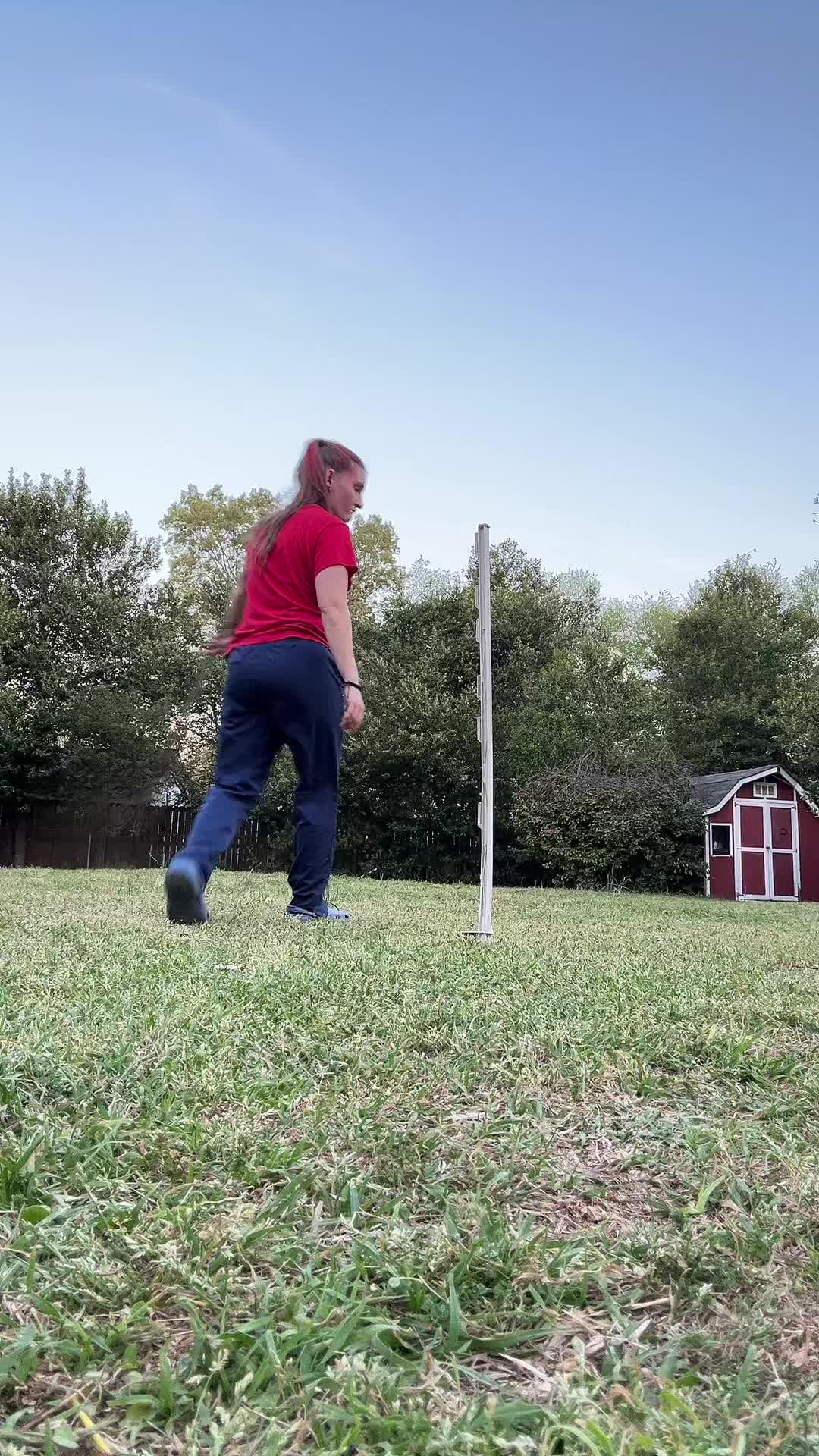 @saberqueentiger