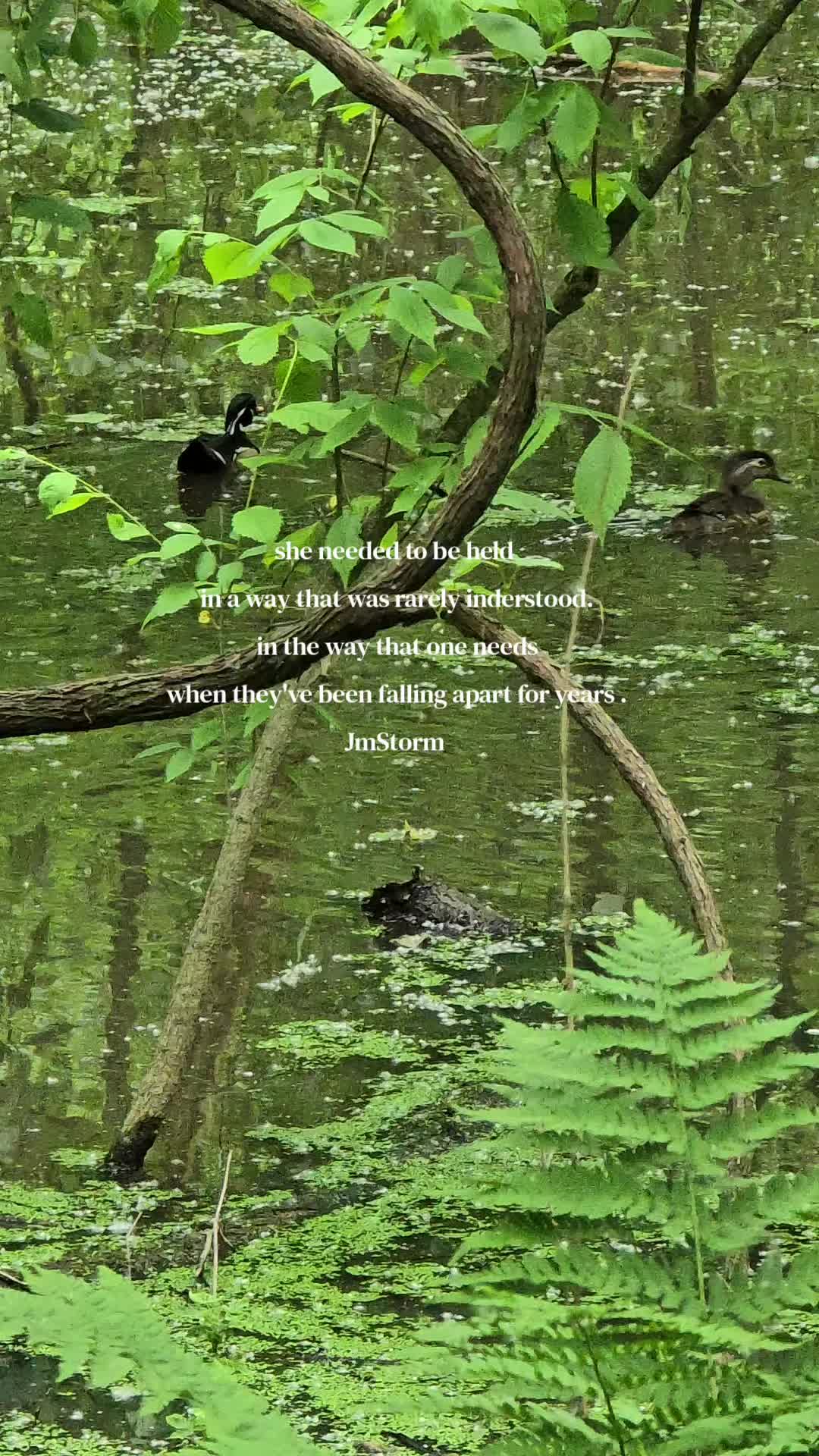 @amber83eternalroot