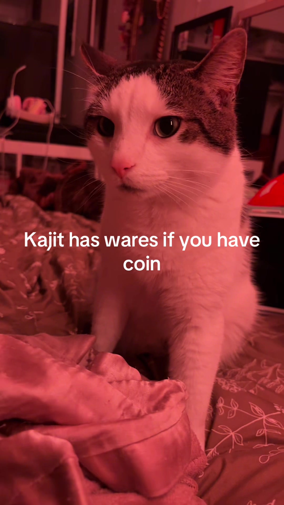 @maez