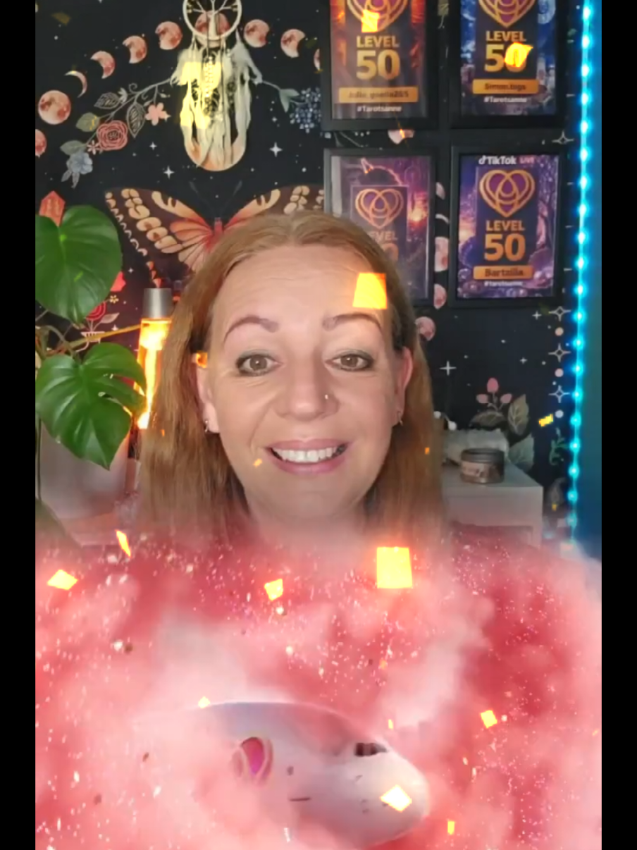 @🪷🦊Sanne🦊🪷