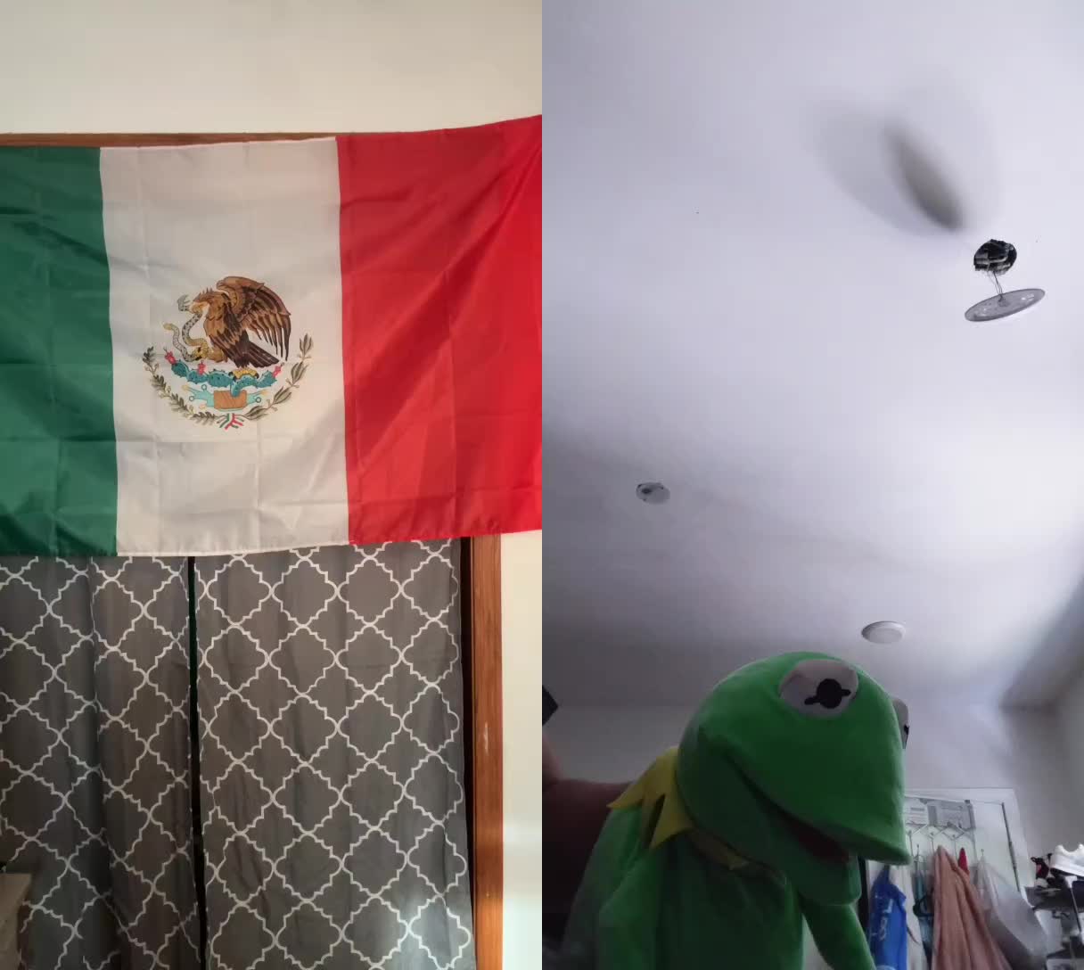 @Kermit And Friends 2026