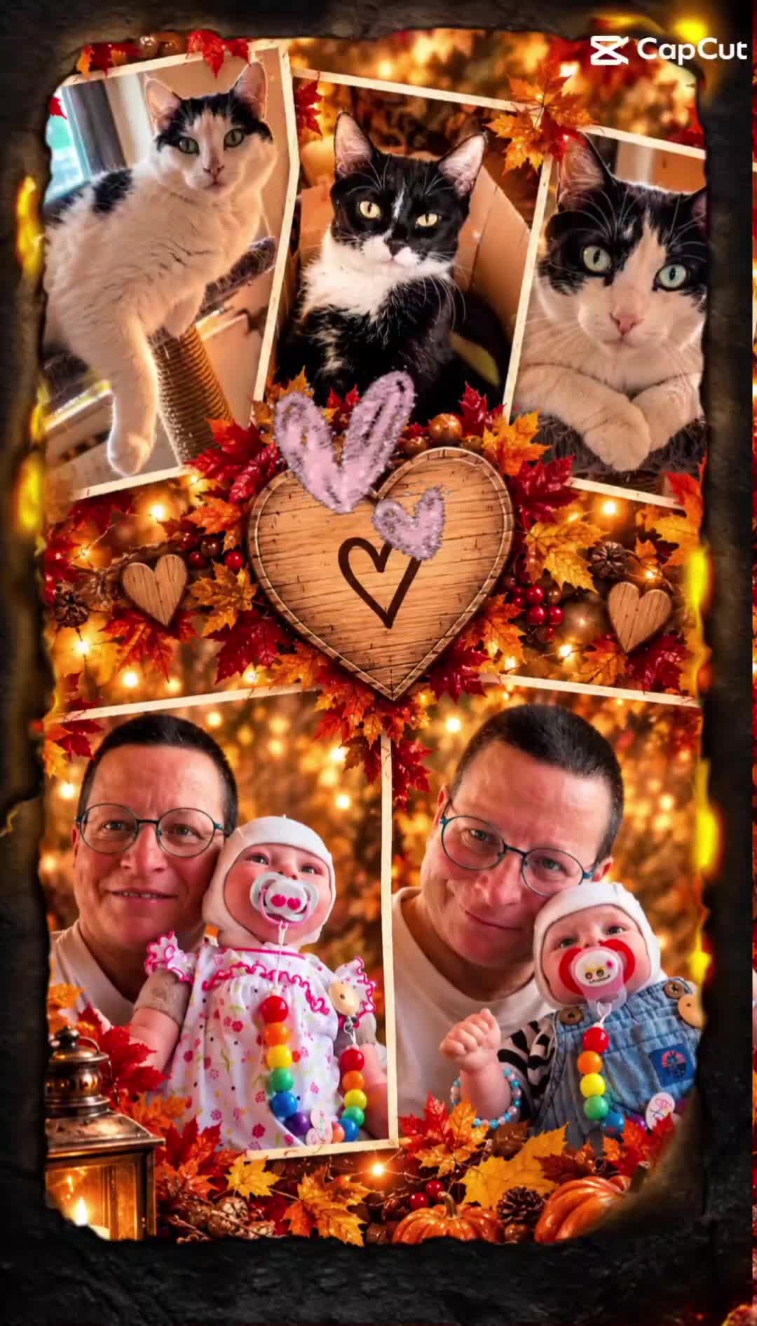 @Melanie Burg katzenstein😻😺😽
