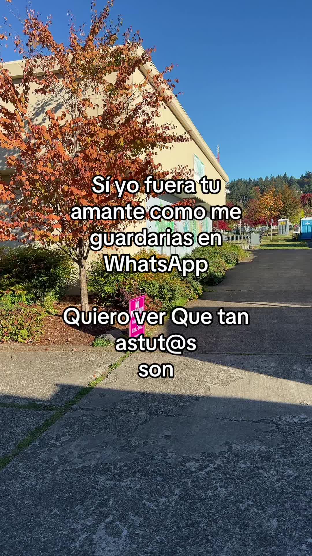 @pablocarbajal63