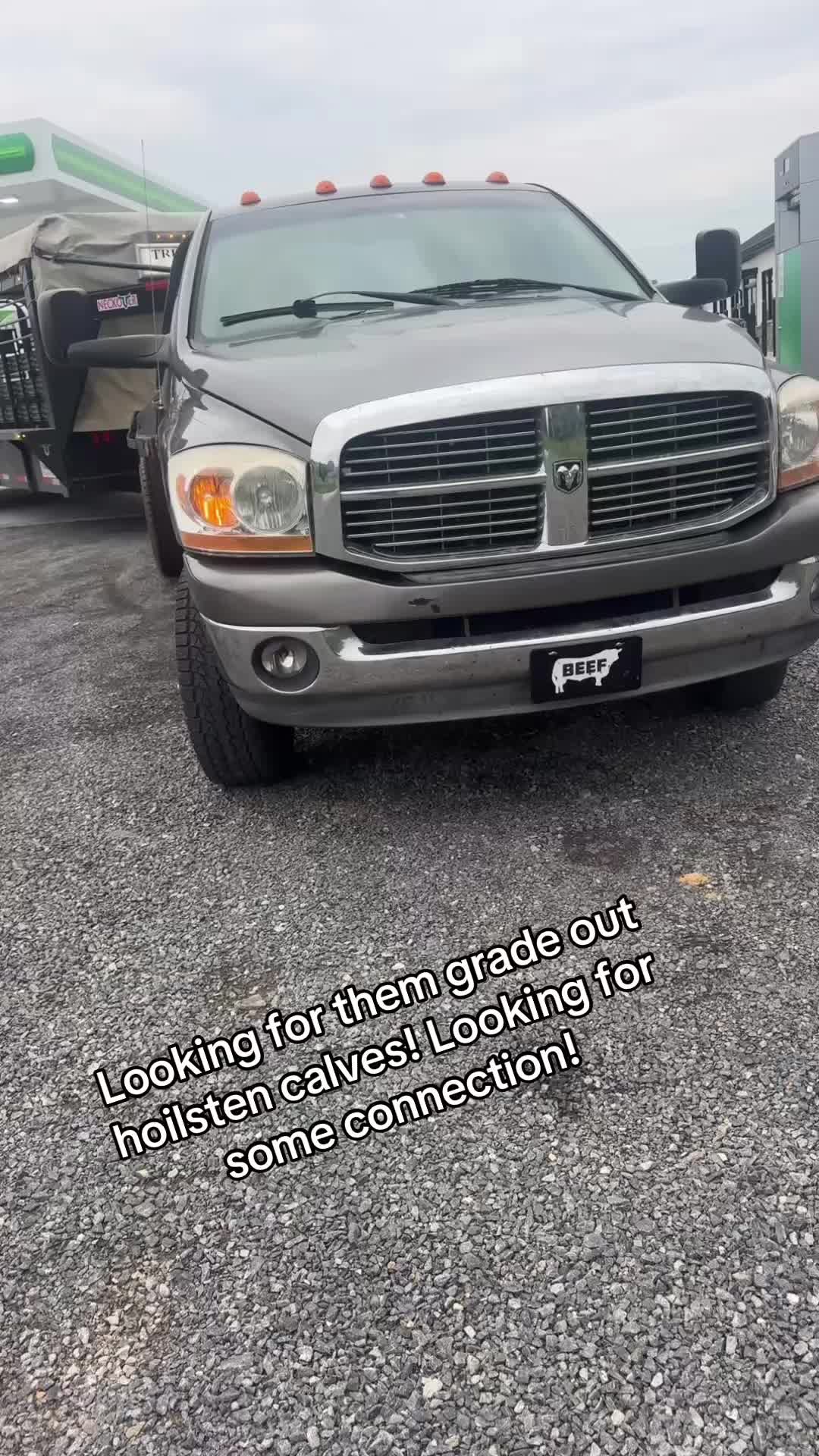 @tripleclivestock