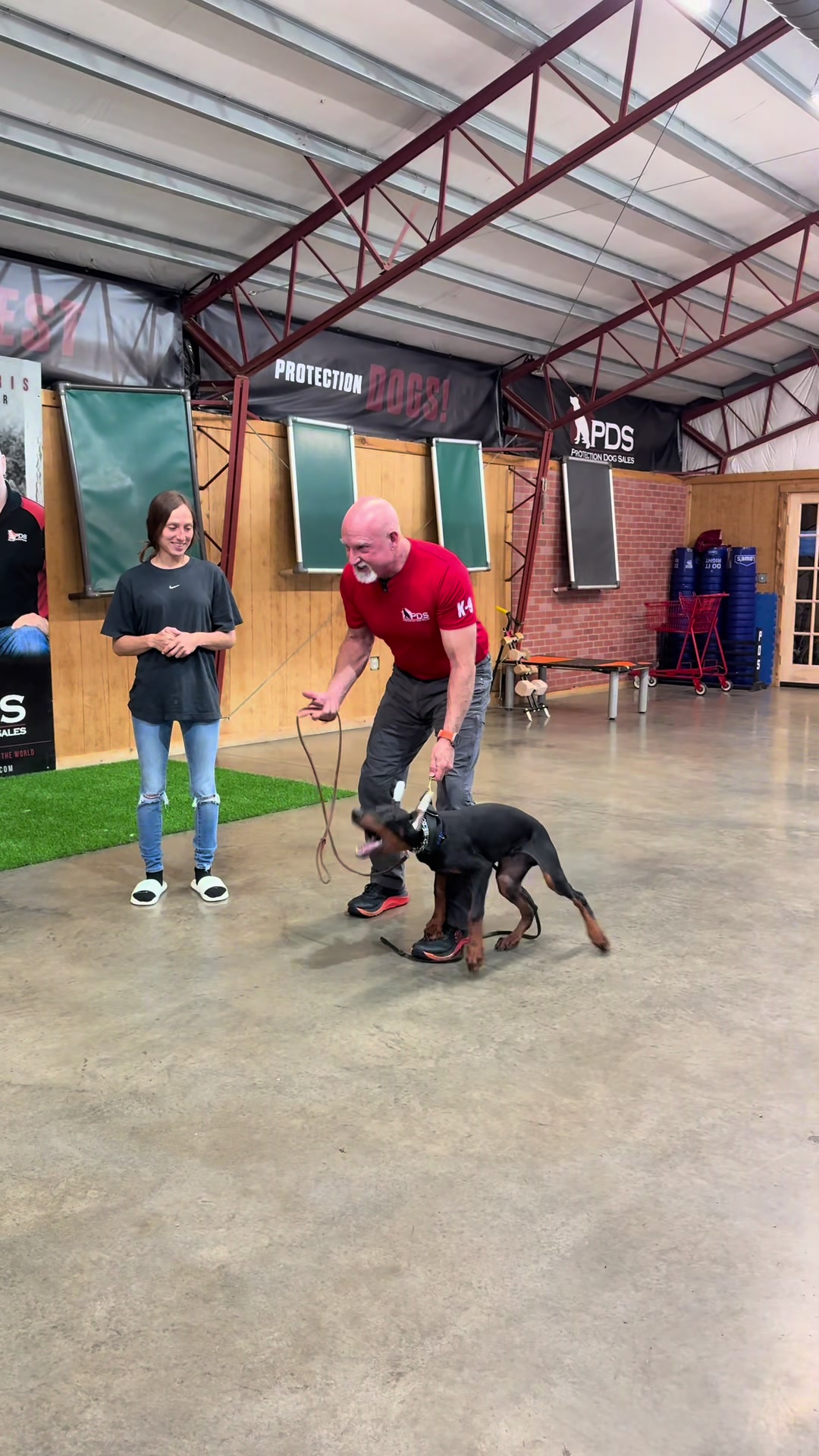 @Protection Dog Sales