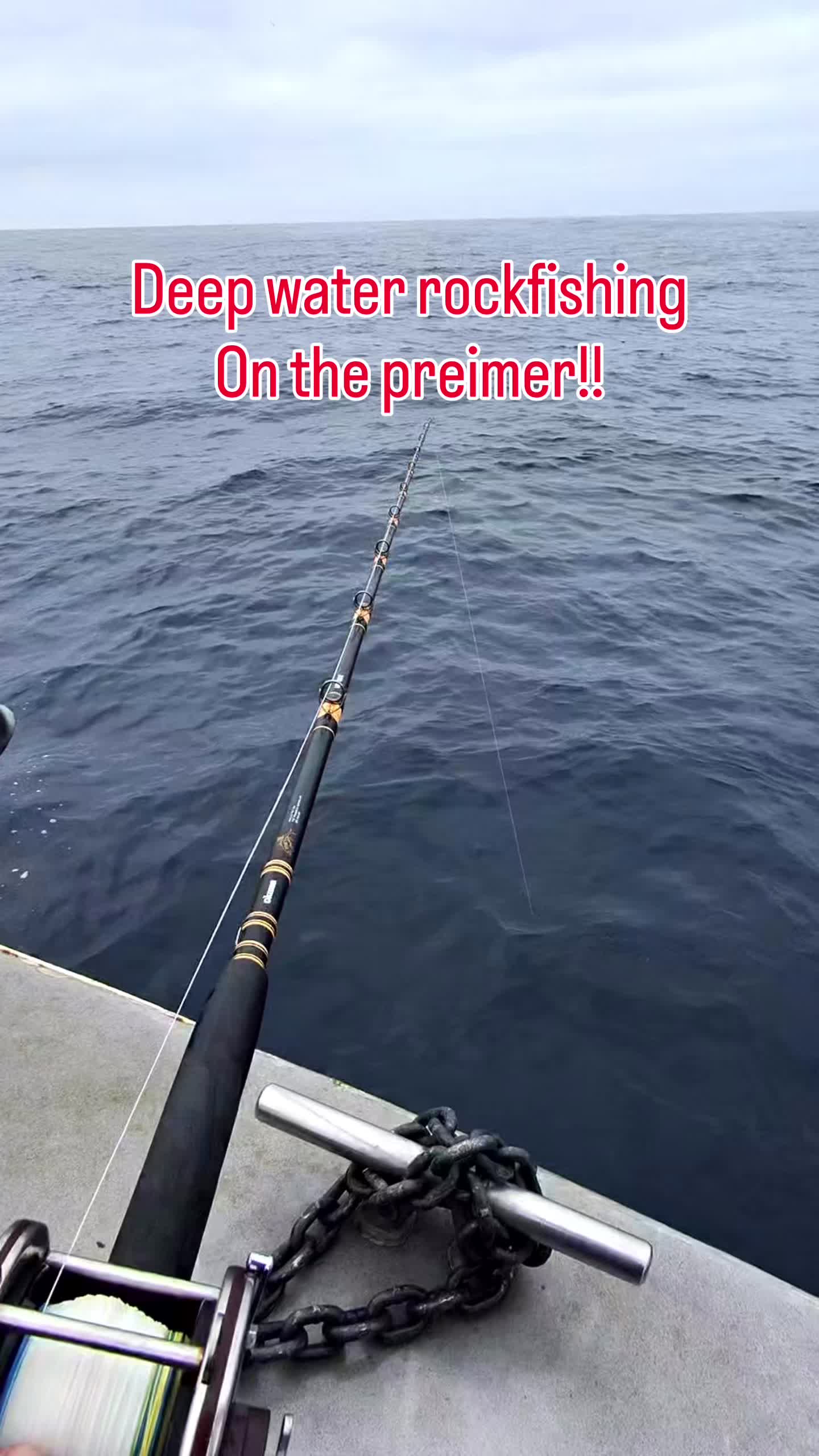 @matt.fishh