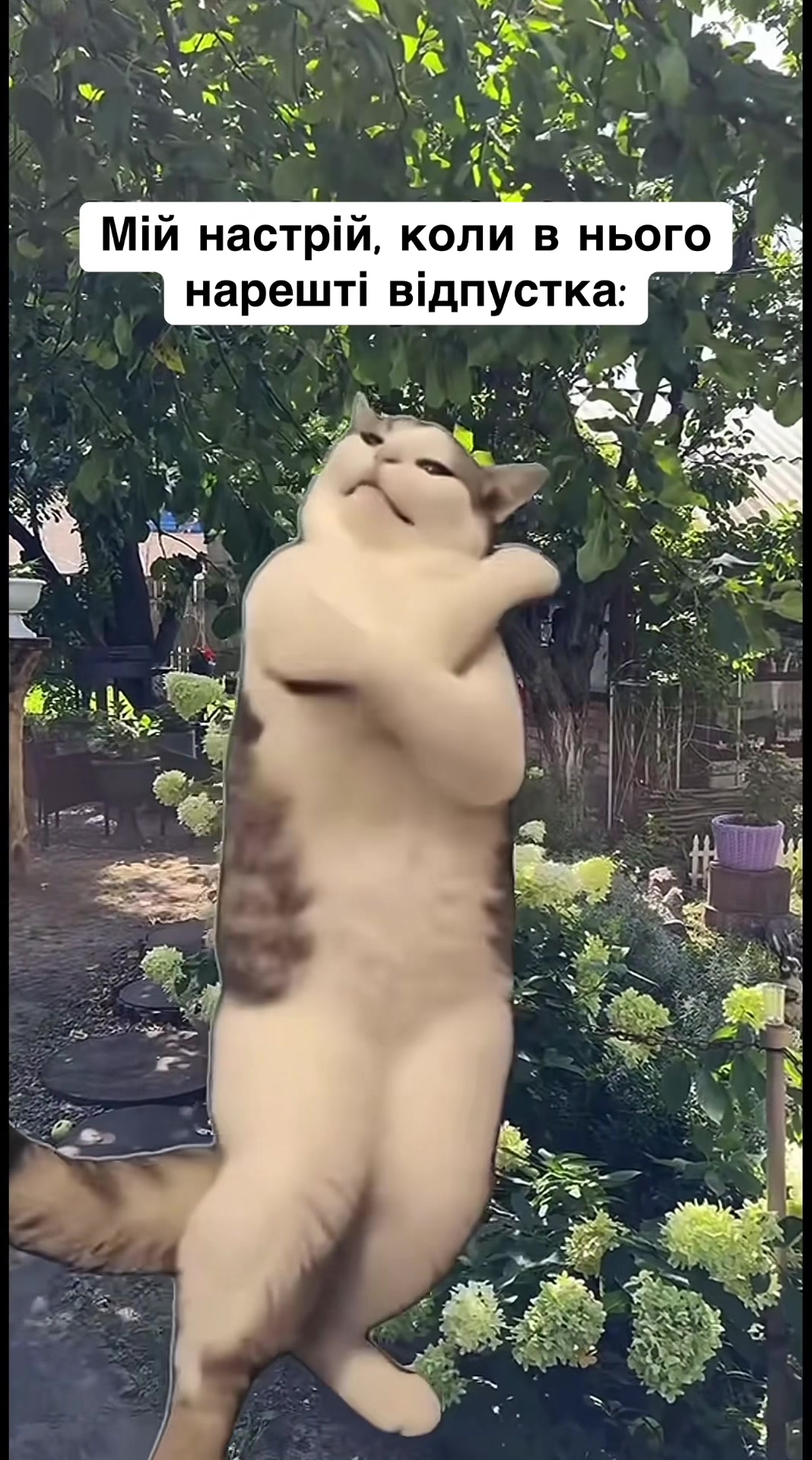 @Катюша