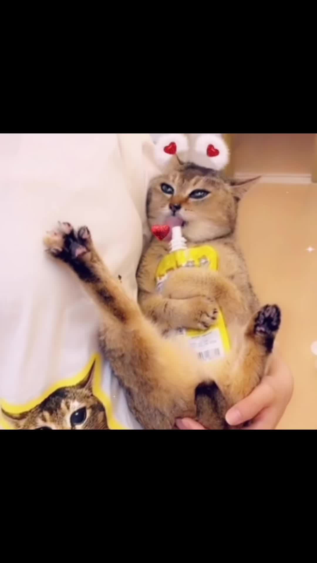 @꒰ঌ ოє𝙞 ოє𝙞⋆.ᶻ𝜗𝜚 ᯓ