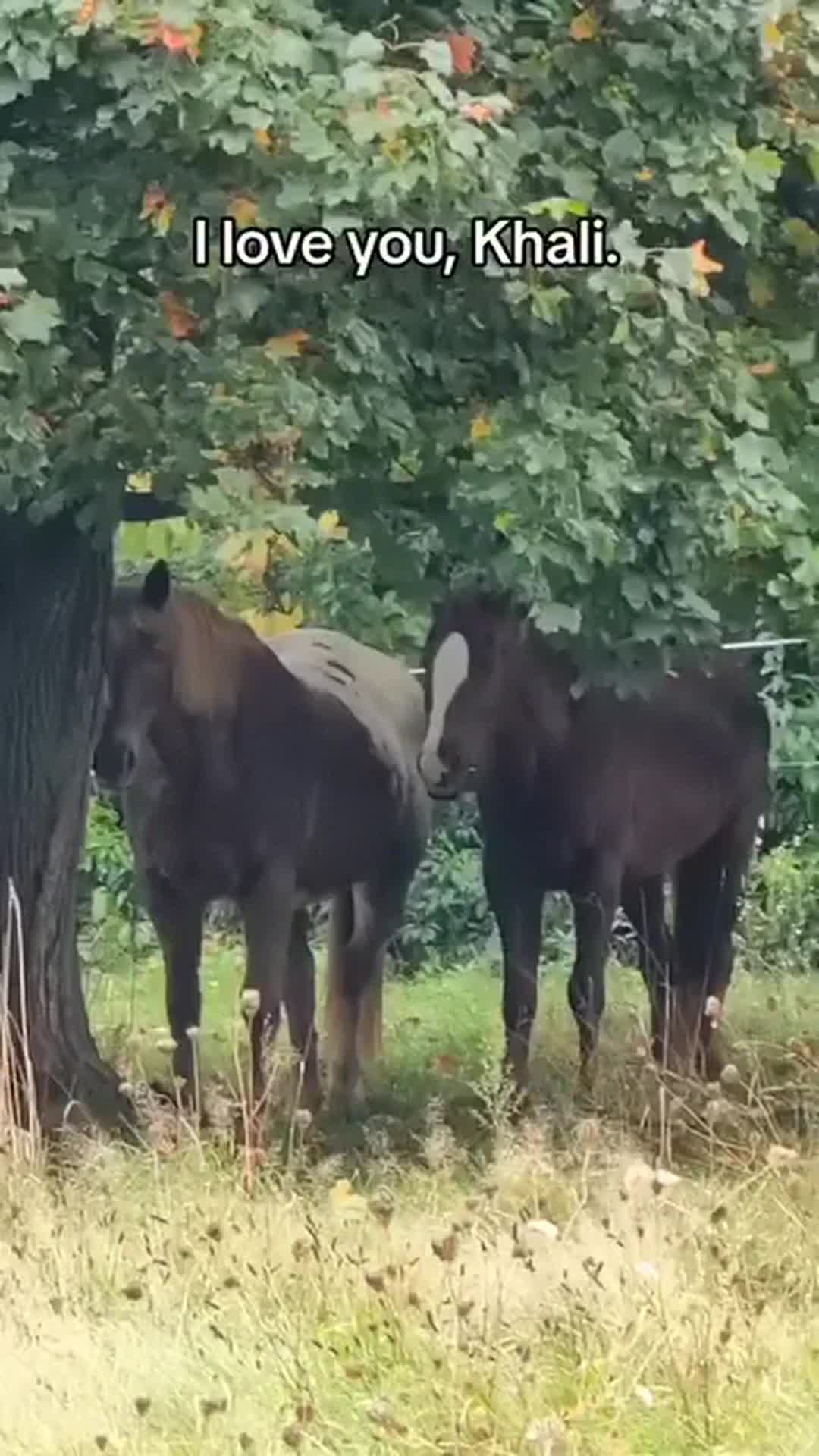 @Beth - Epona Media