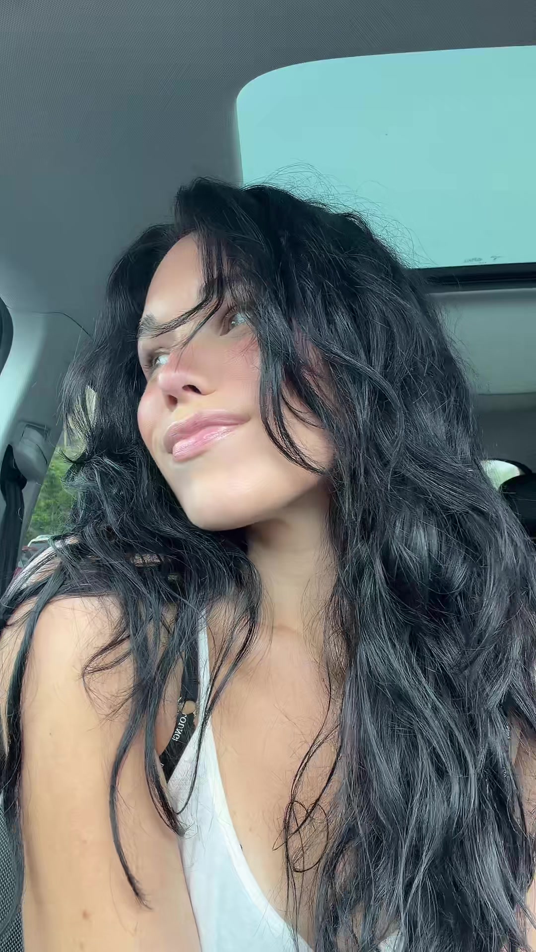 @renitbackturbo