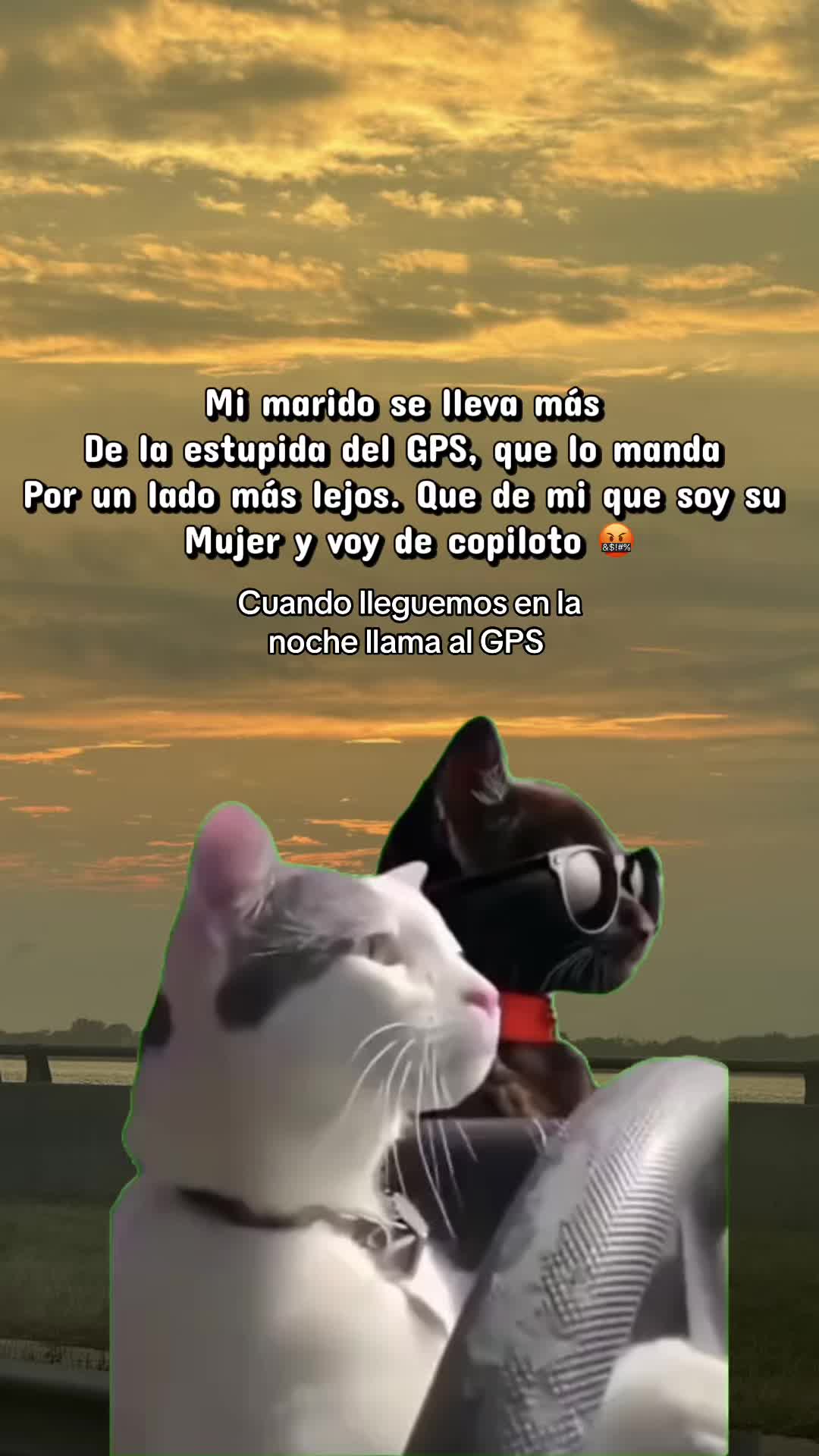 @Cecilia