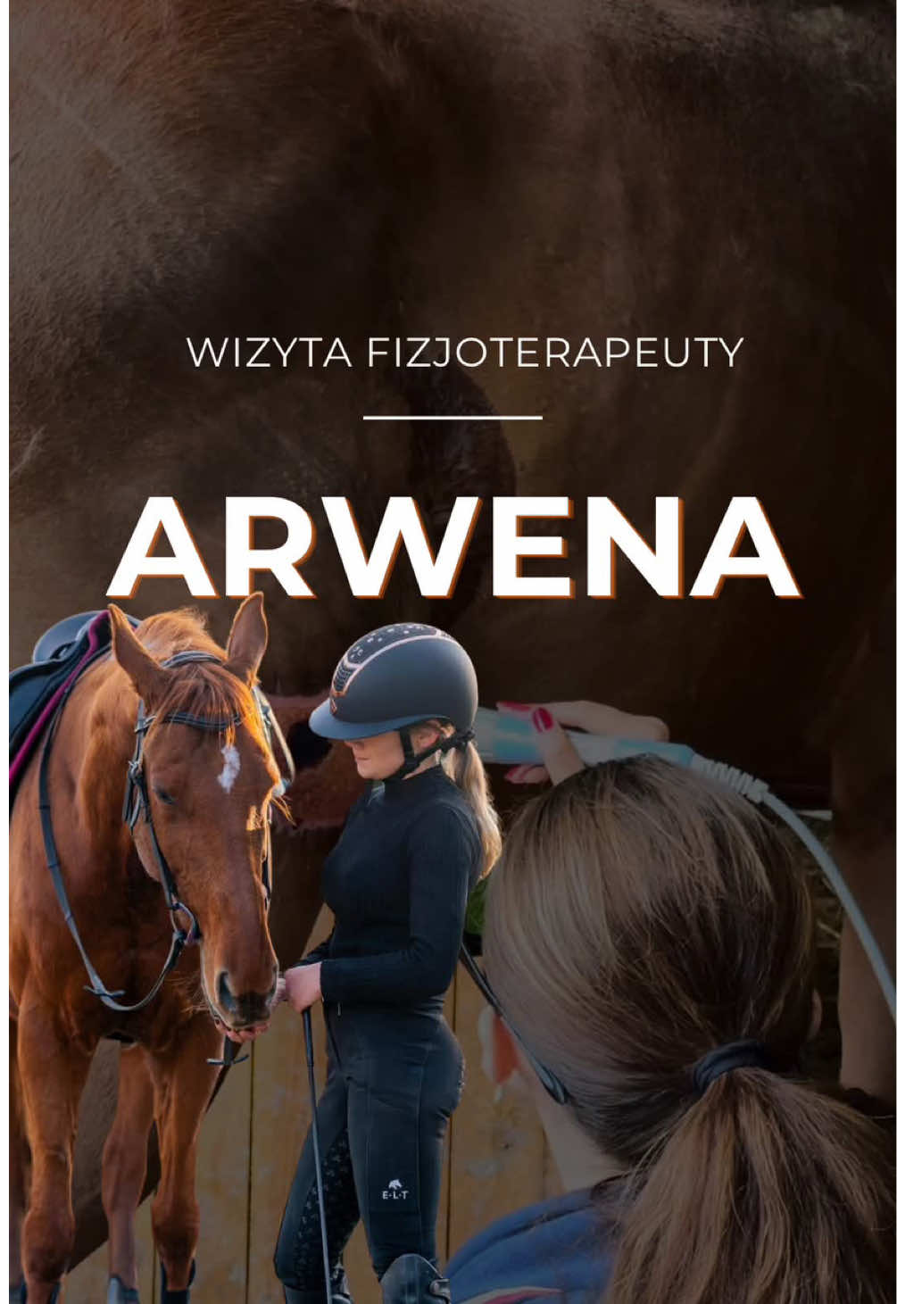 @Harmonia Jeździectwa