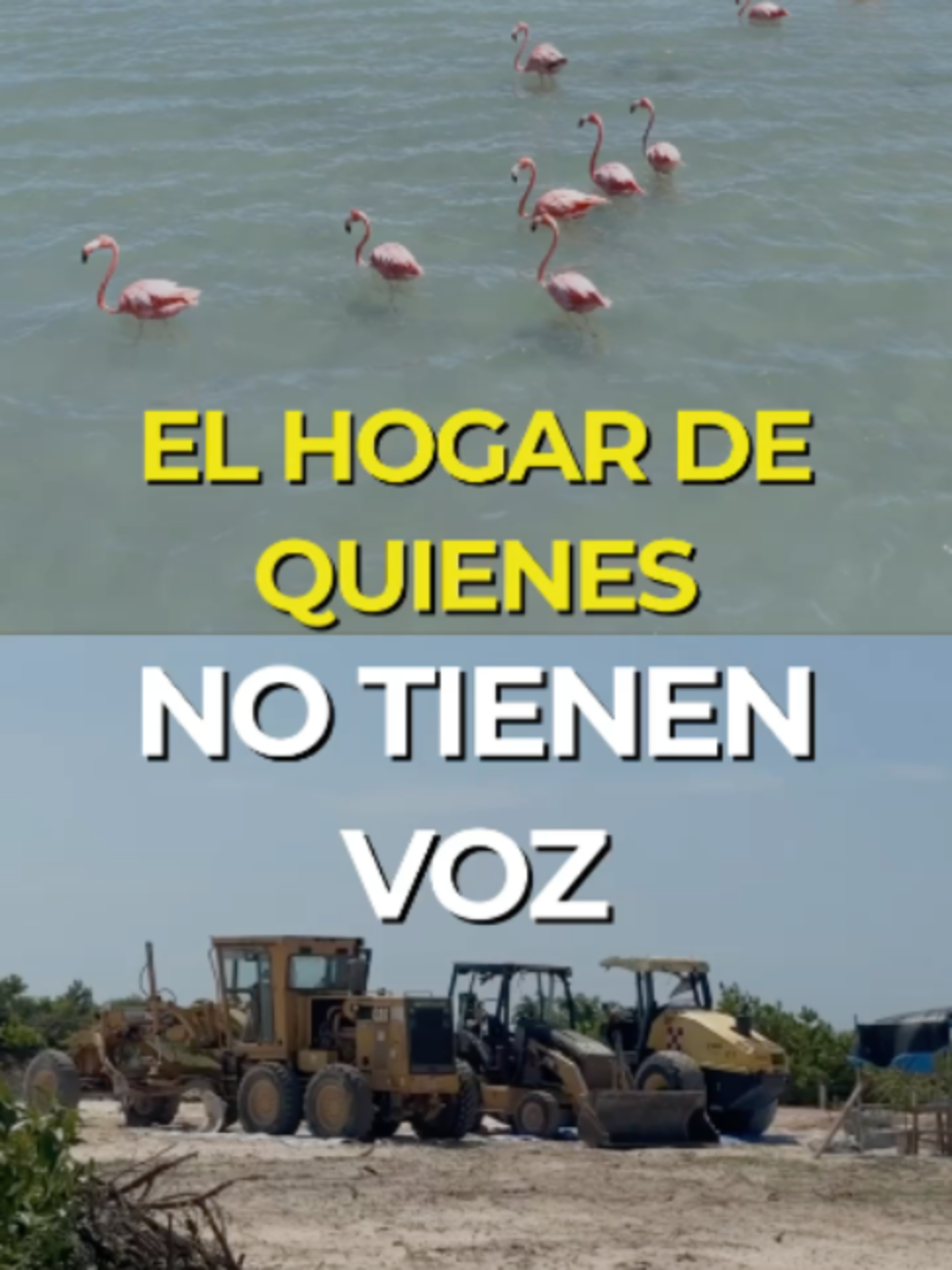 @Con Acento