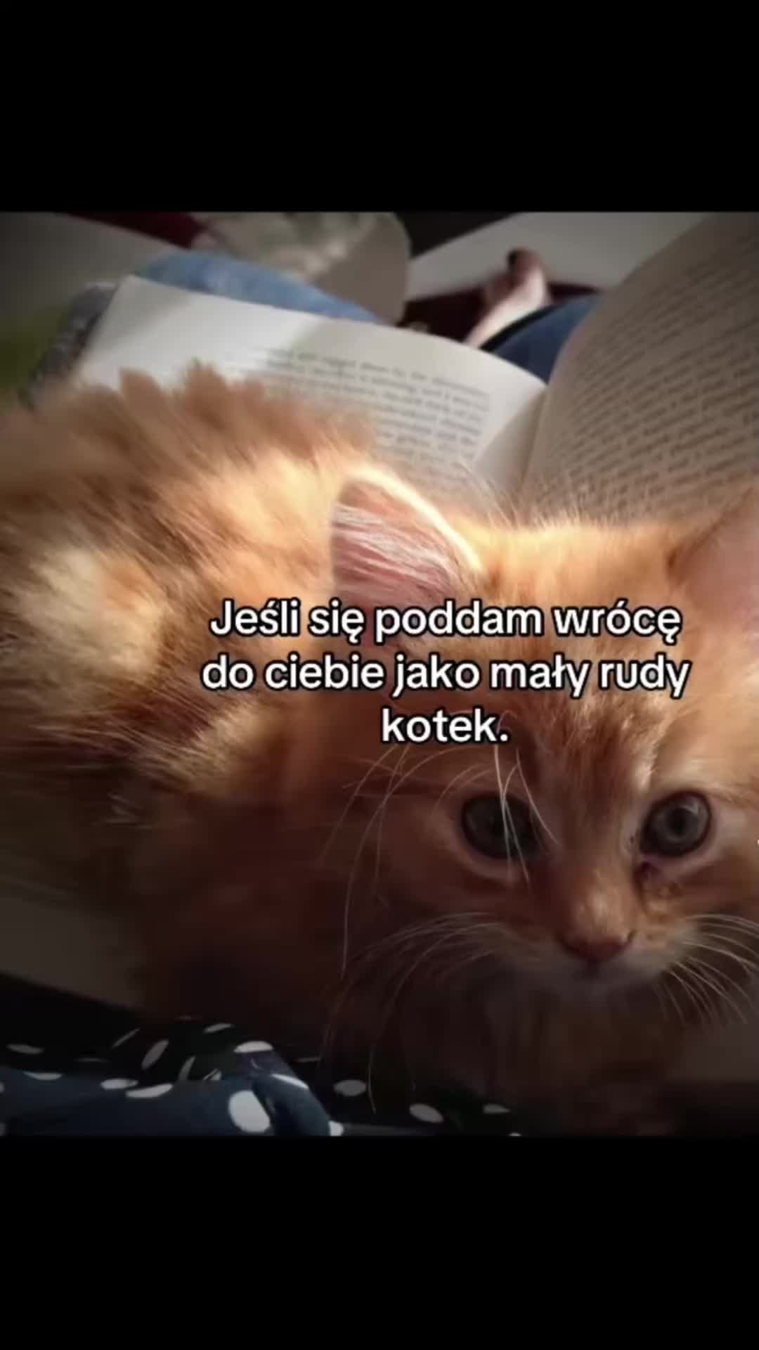 @repost