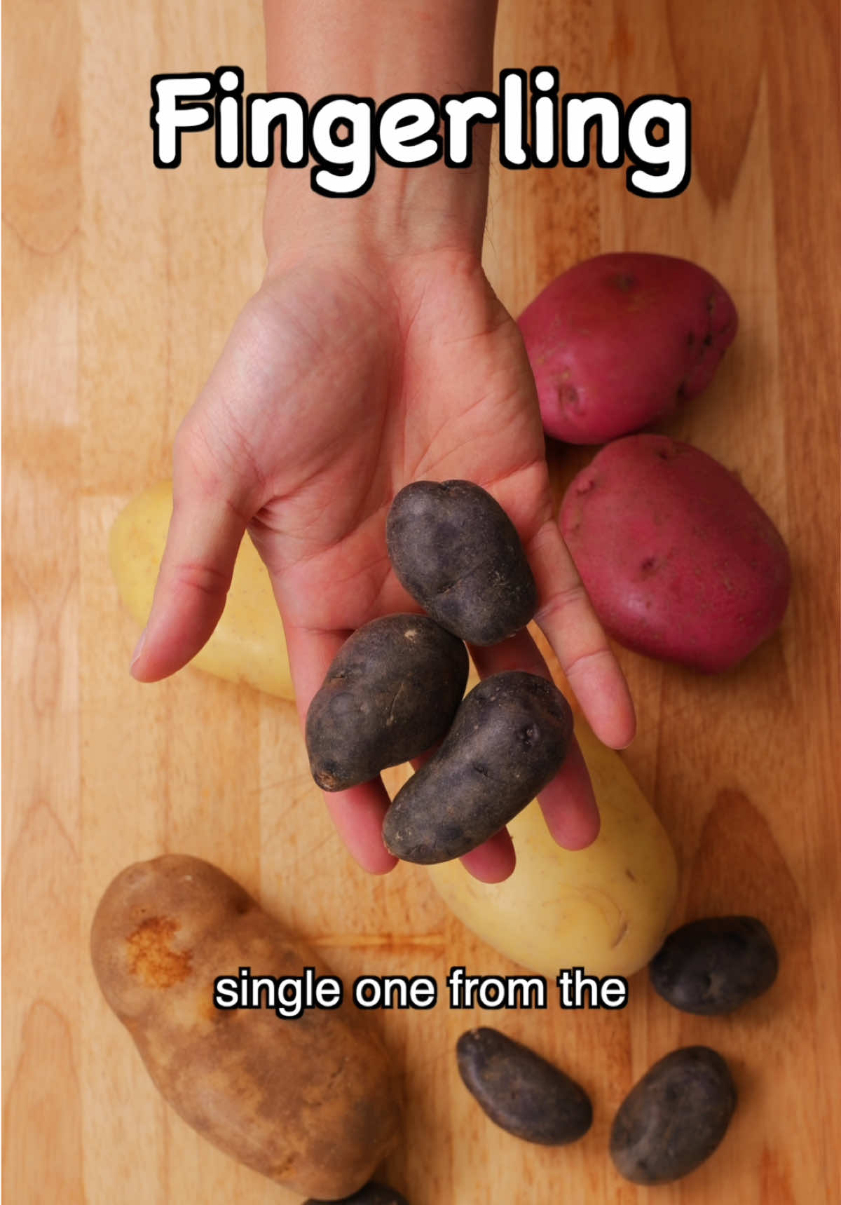 @Shu Xu