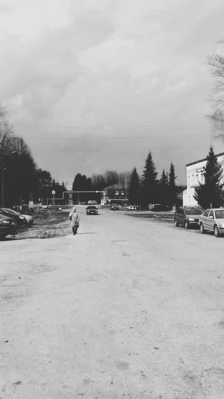 @alekseev06