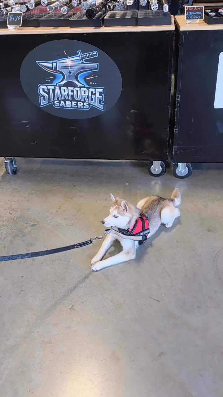 @StarforgeSabers