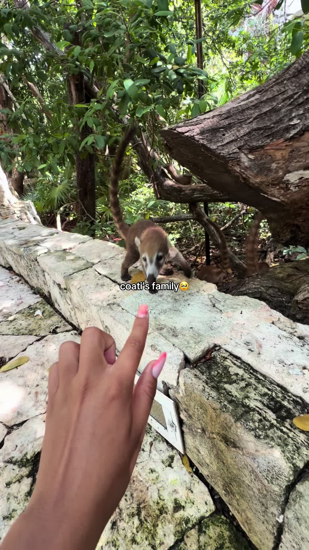 @Adélaïde 🫶🏽