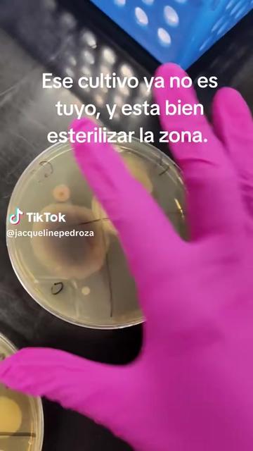 @México 🇲🇽