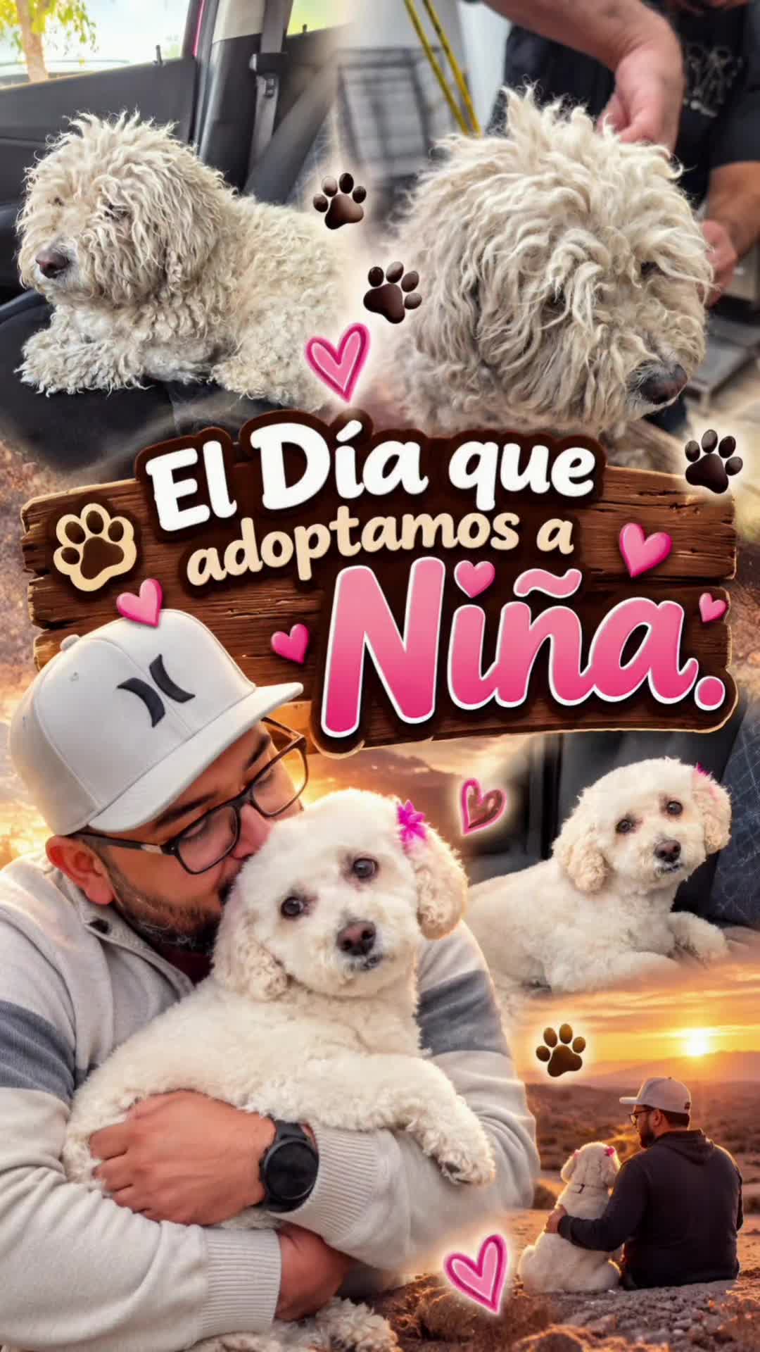 @Frank Viajero