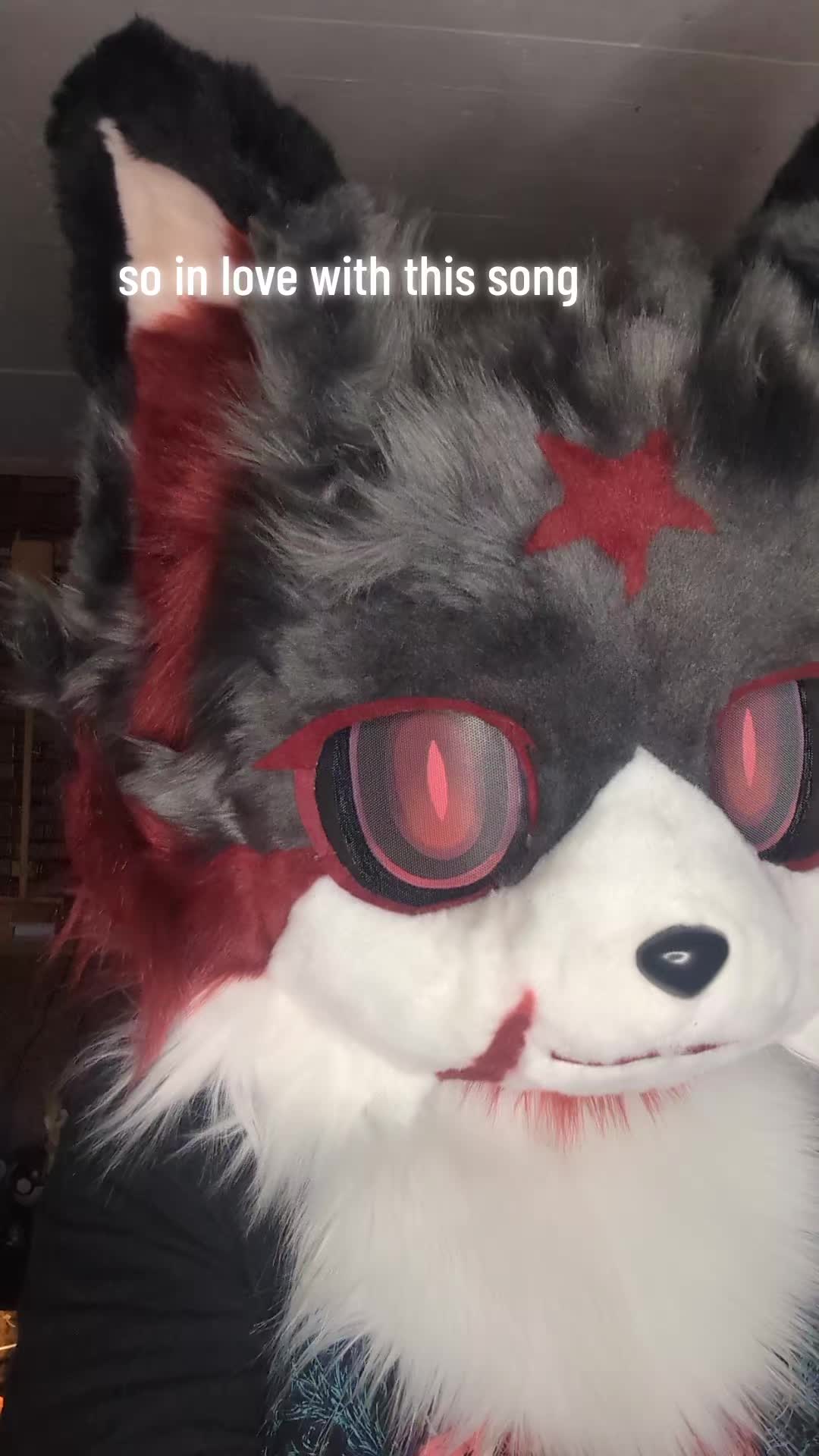 @Raphaelthefurry