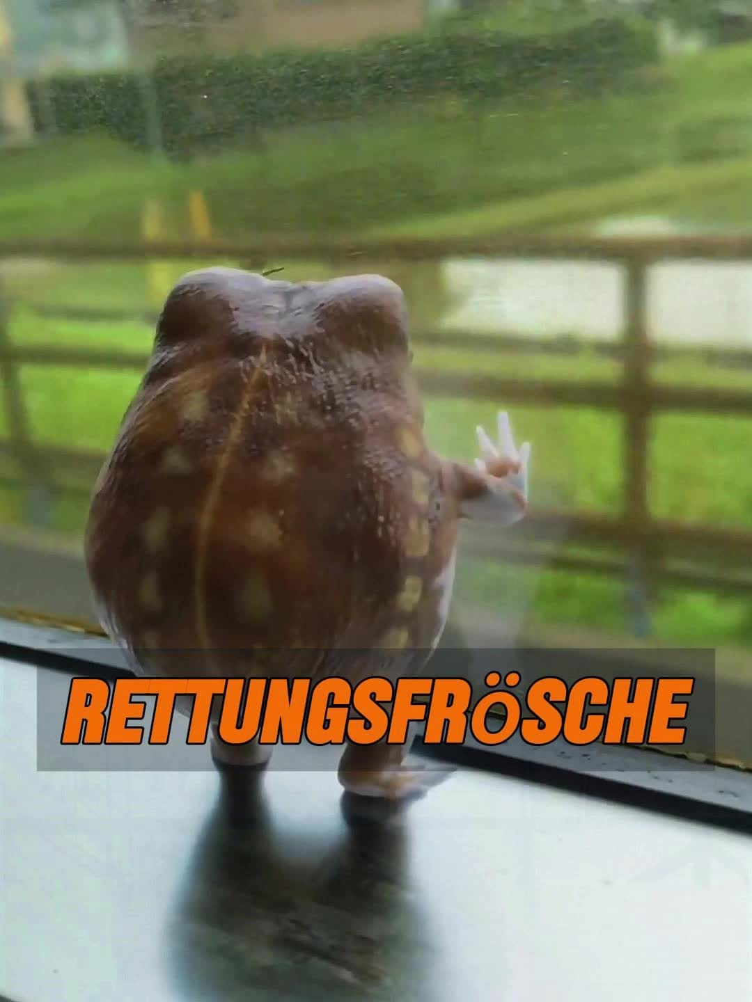 @Geo Tierwelt