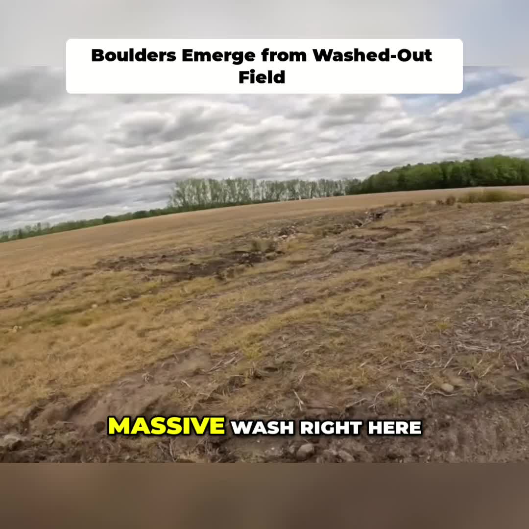 @Kip Siegler Farming
