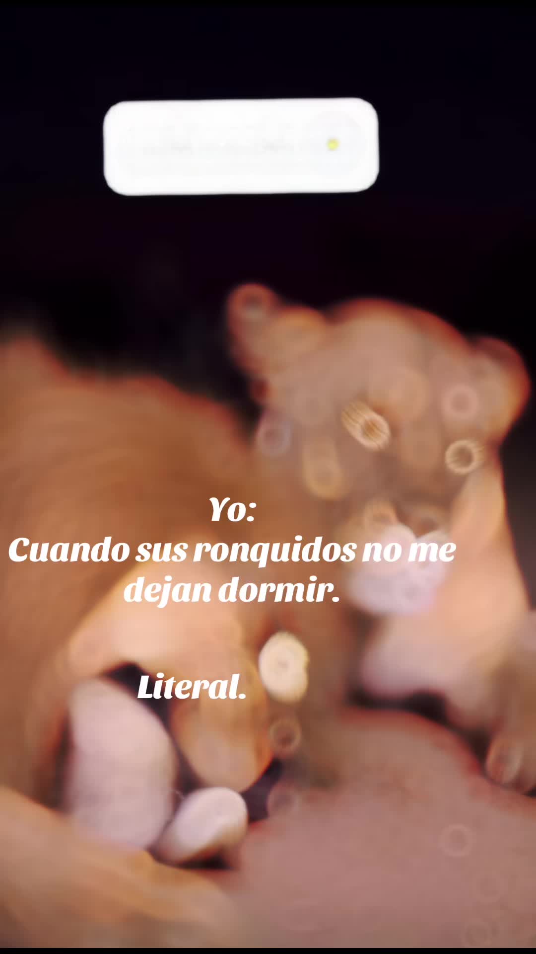 @Gleiia23