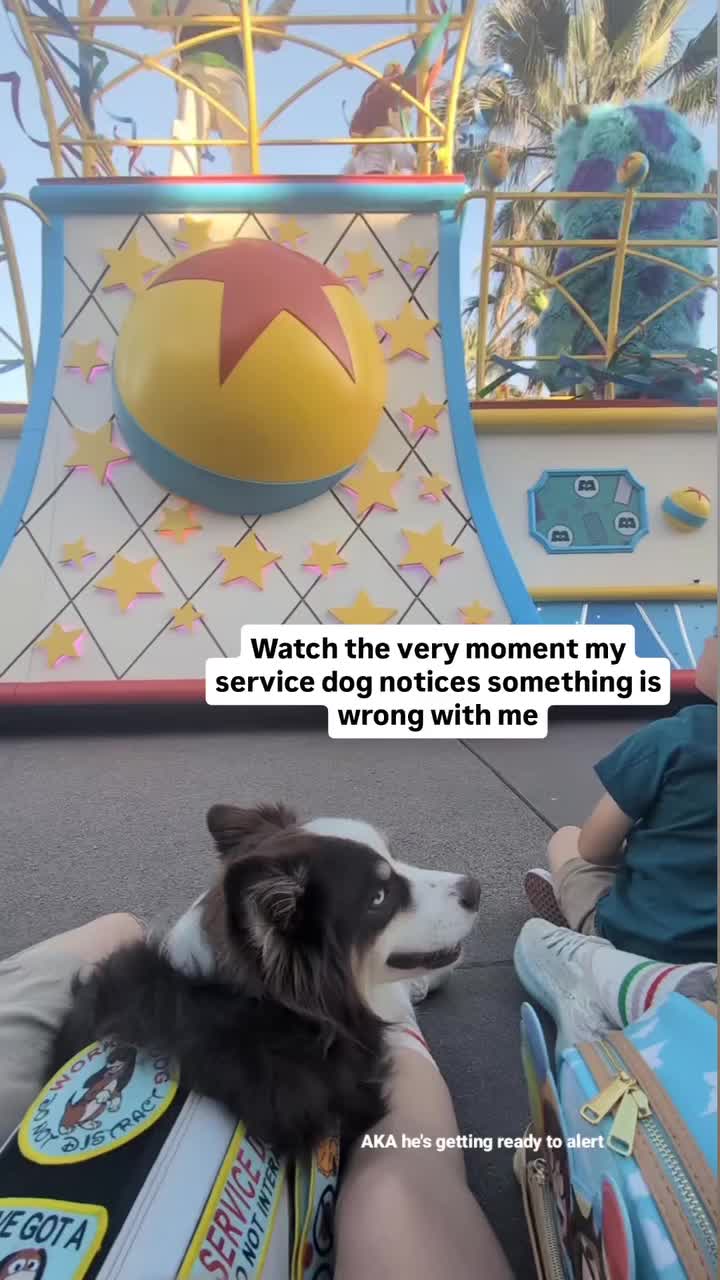 @BasicallyBandit