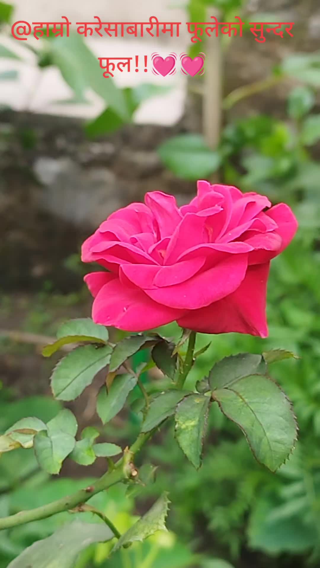 @Satyam Sundar