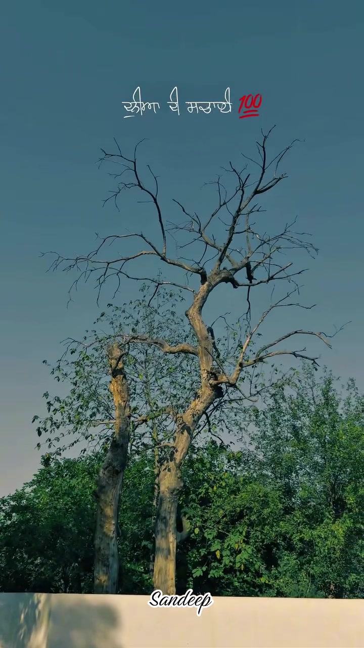 @Sdeep_2022