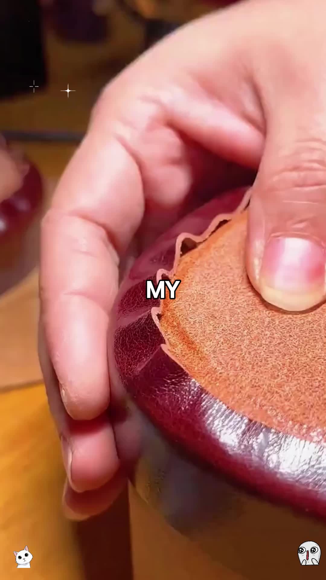 @michaelsutton5261