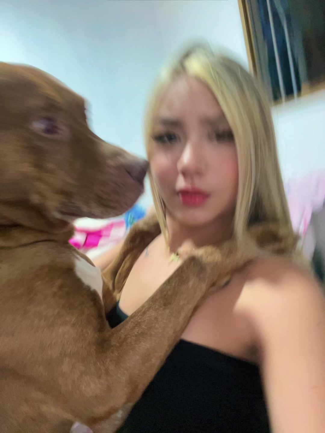 @๐๐ท๐๐พ๐ ๐ฑ ๐ฐโจ