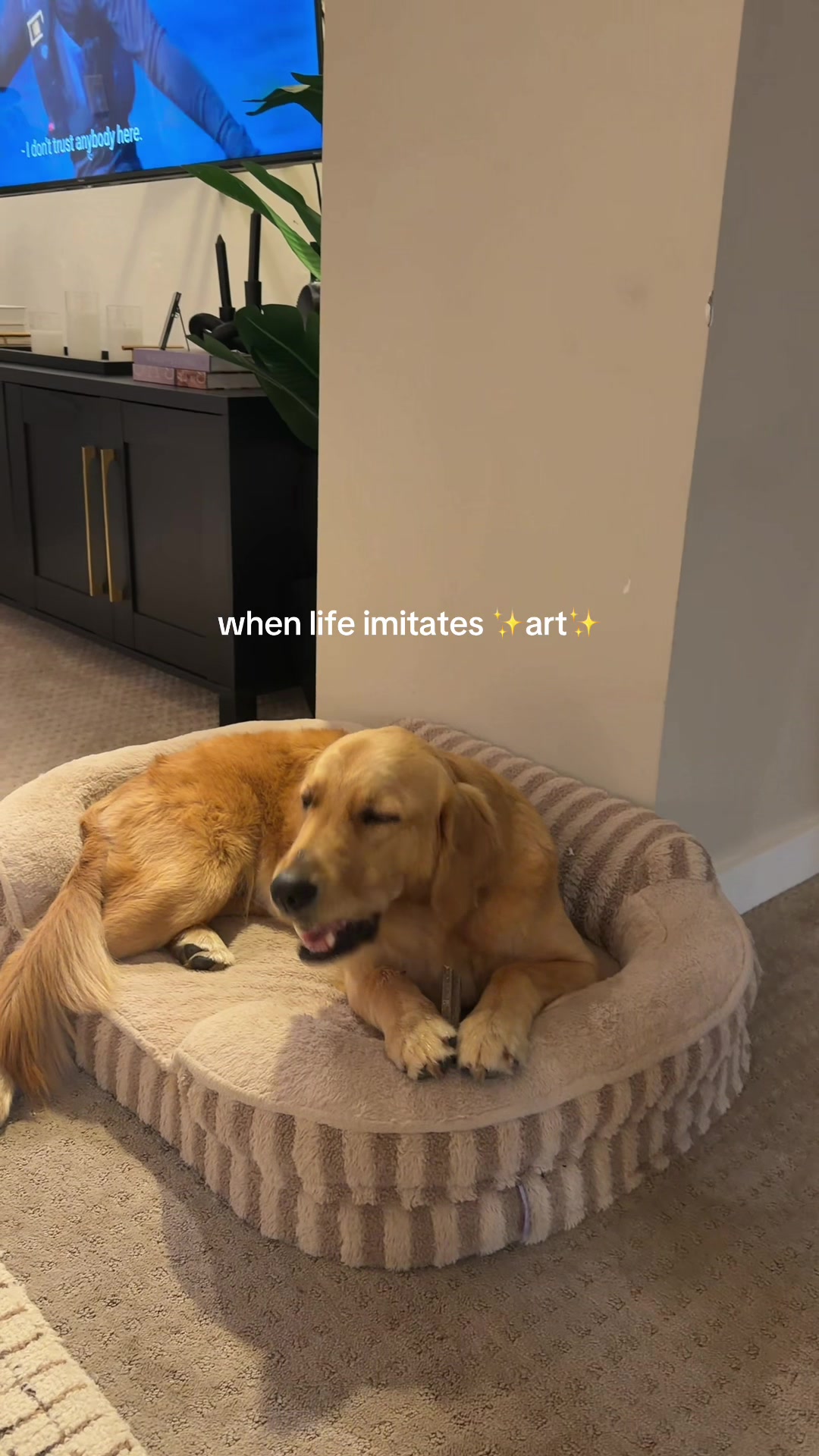 @Tater the Golden Girl