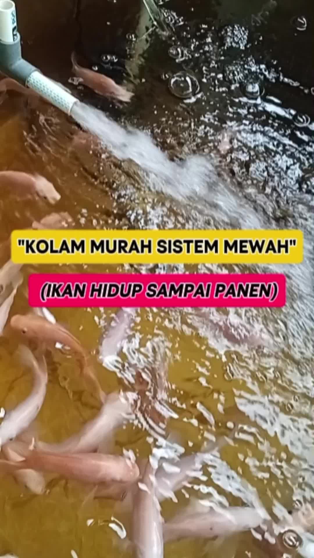 @Teguh Santosa