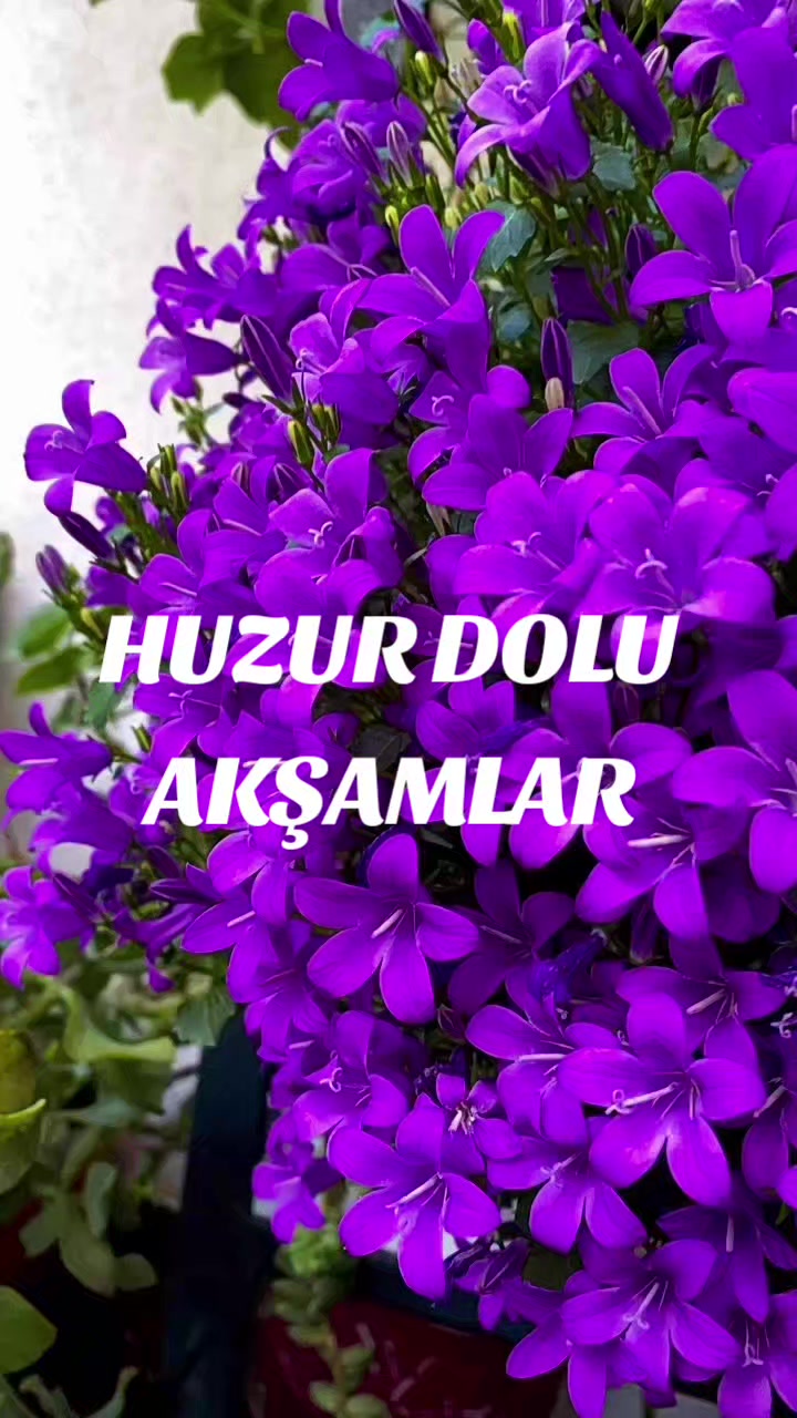@Hasan Yılmaz